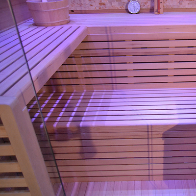 Dampftrockner-traditionelle Sauna-Rechnersteuerungs-Kontrollbereich-feste hölzerne moderne Schierlings-Sauna im Freien