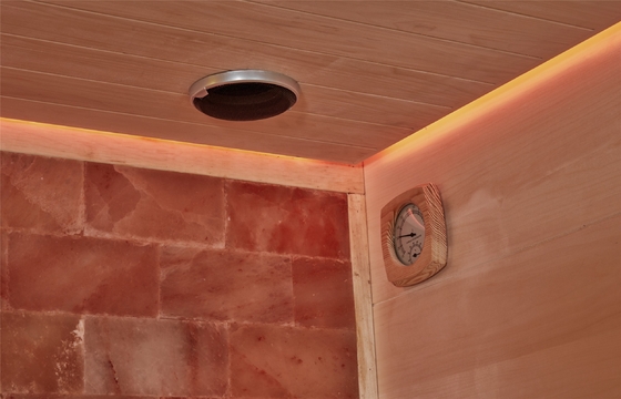 Hölzerner Aspen Reder Harvia Stone Salt-Sauna-Raum-tragbarer trockener Sauna-Raum im Freien